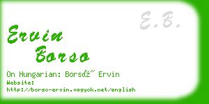 ervin borso business card